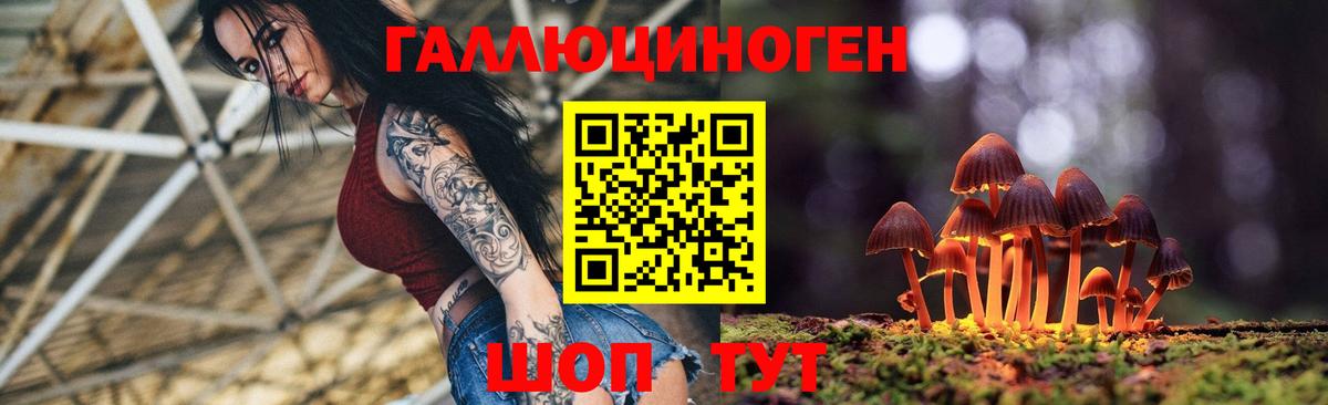 где найти   Вход с VPN  Ростов Великий  Псилоцибиновые грибы ЛСД 